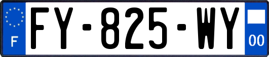 FY-825-WY