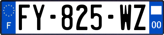 FY-825-WZ