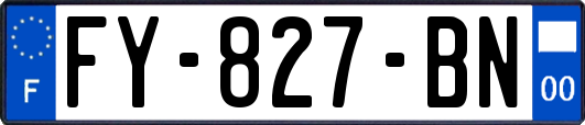 FY-827-BN