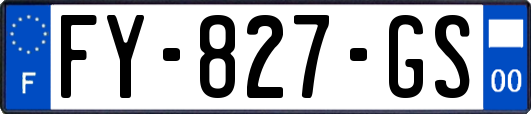 FY-827-GS