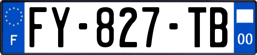 FY-827-TB