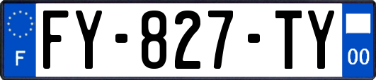 FY-827-TY