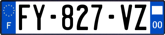 FY-827-VZ
