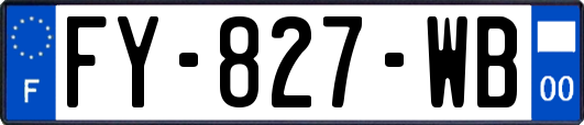 FY-827-WB