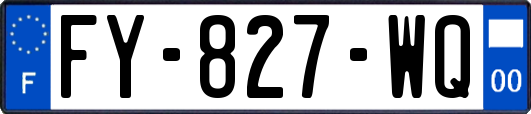 FY-827-WQ