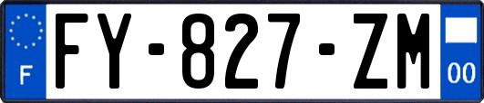 FY-827-ZM