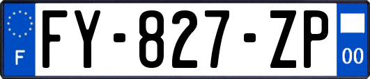 FY-827-ZP