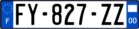 FY-827-ZZ