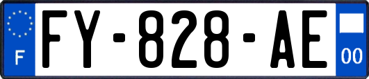 FY-828-AE