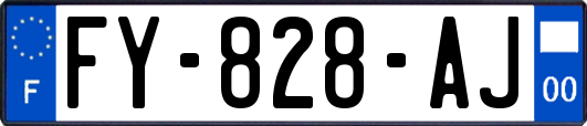 FY-828-AJ