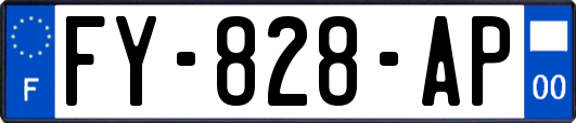 FY-828-AP