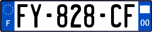 FY-828-CF