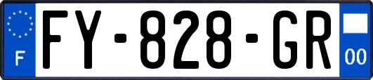 FY-828-GR