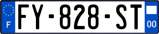 FY-828-ST