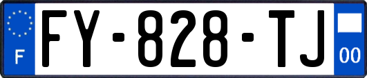 FY-828-TJ