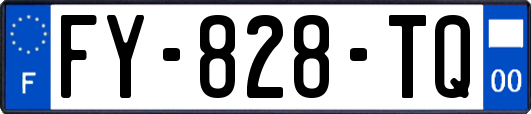 FY-828-TQ