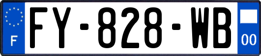 FY-828-WB