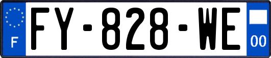 FY-828-WE