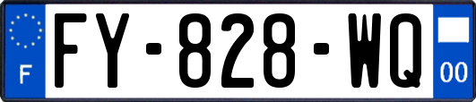 FY-828-WQ