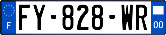 FY-828-WR