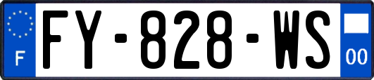 FY-828-WS