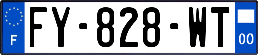 FY-828-WT