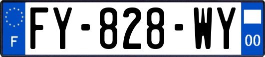 FY-828-WY