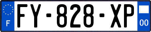 FY-828-XP