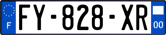 FY-828-XR