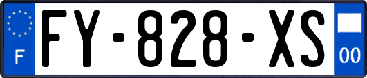 FY-828-XS