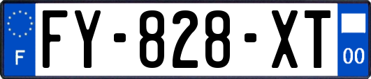 FY-828-XT