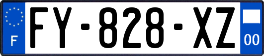 FY-828-XZ