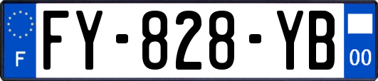 FY-828-YB