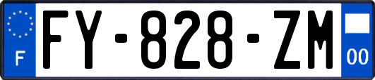 FY-828-ZM