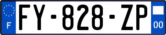 FY-828-ZP