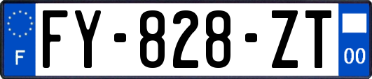 FY-828-ZT