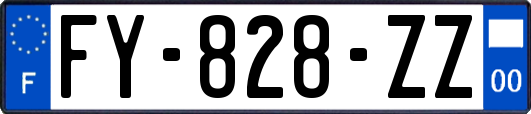 FY-828-ZZ