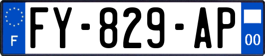 FY-829-AP