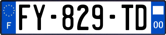 FY-829-TD