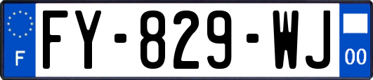 FY-829-WJ