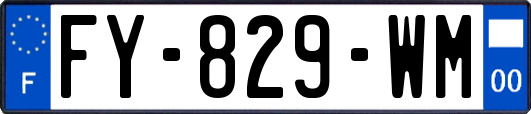 FY-829-WM