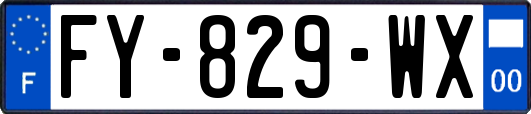 FY-829-WX