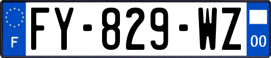 FY-829-WZ