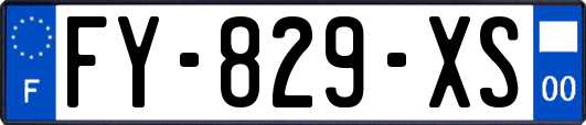 FY-829-XS