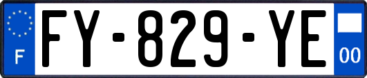 FY-829-YE