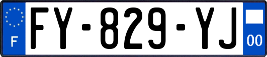 FY-829-YJ