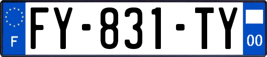 FY-831-TY