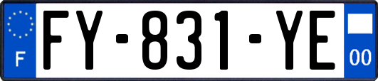 FY-831-YE
