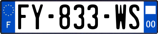 FY-833-WS