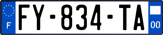FY-834-TA